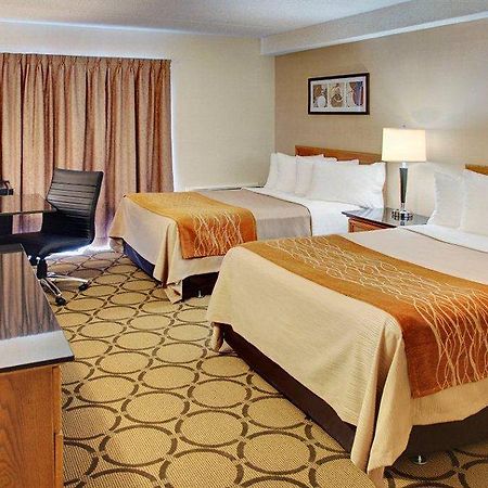 Comfort Inn Edmundston Bagian luar foto