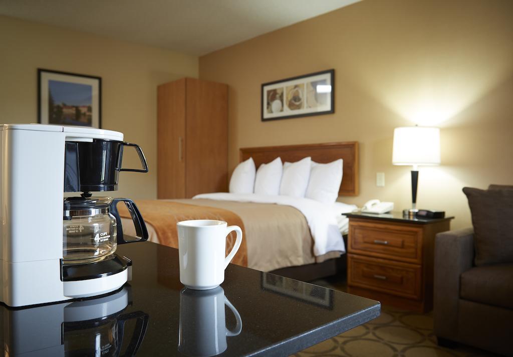 Comfort Inn Edmundston Bagian luar foto