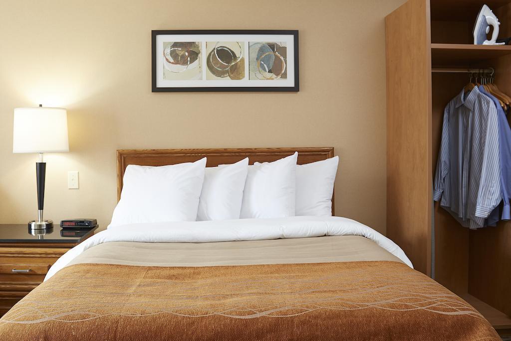 Comfort Inn Edmundston Bagian luar foto