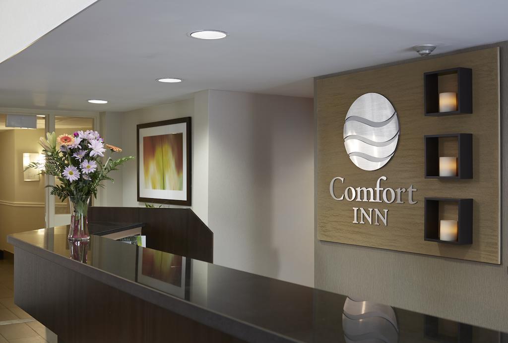 Comfort Inn Edmundston Bagian luar foto